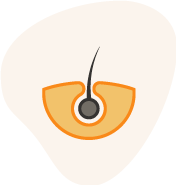 Laser-Hair-Removal-icon